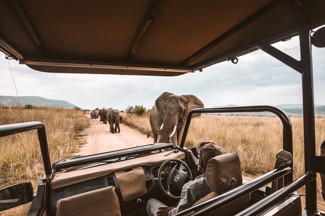 Tanzania Self Drive