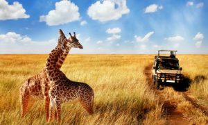 Self Drive Tanzania Destination