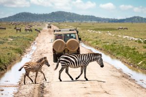 Self Drive in Serengeti National Park